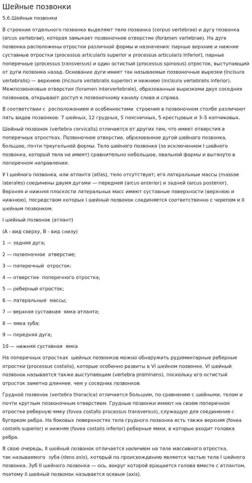 Шейные позвонки