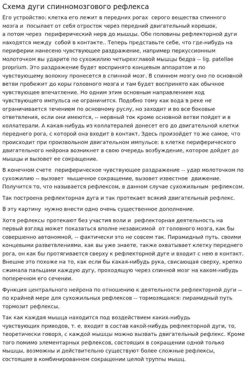 Схема дуги спинномозгового рефлекса