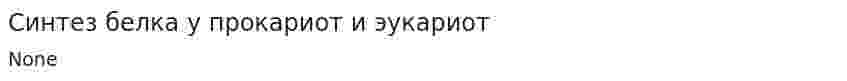 Синтез белка у прокариот и эукариот