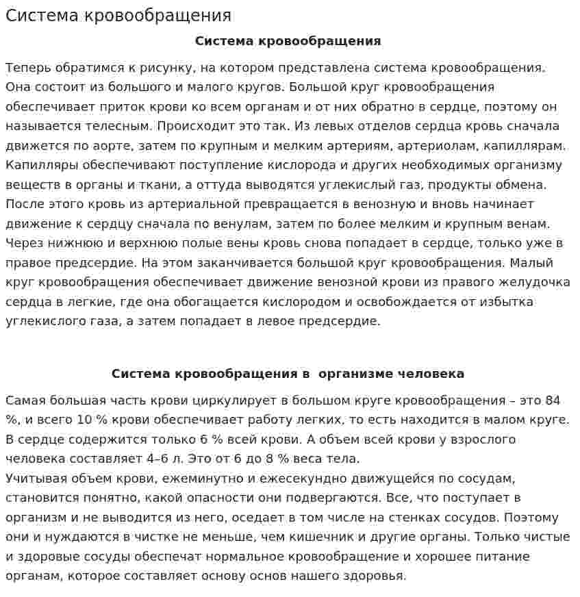 Система кровообращения