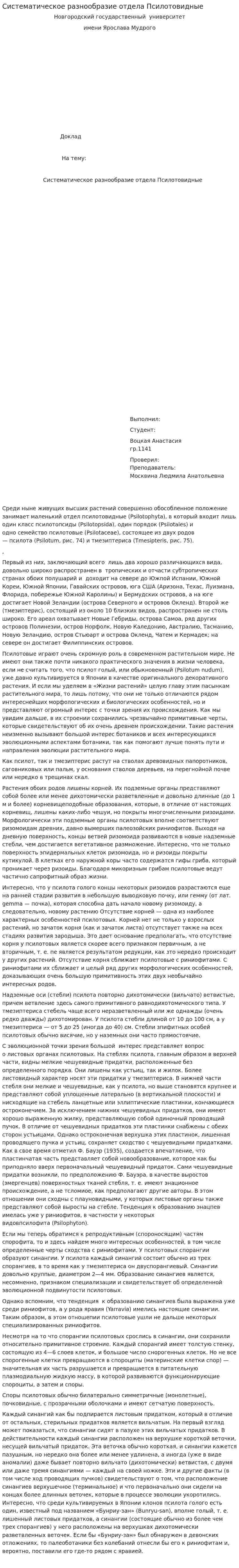 Систематическое разнообразие отдела Псилотовидные