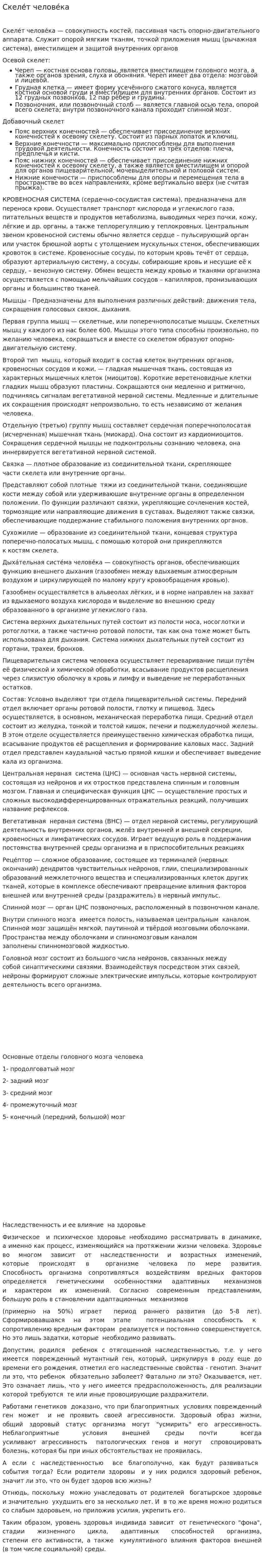 Скеле́т челове́ка
