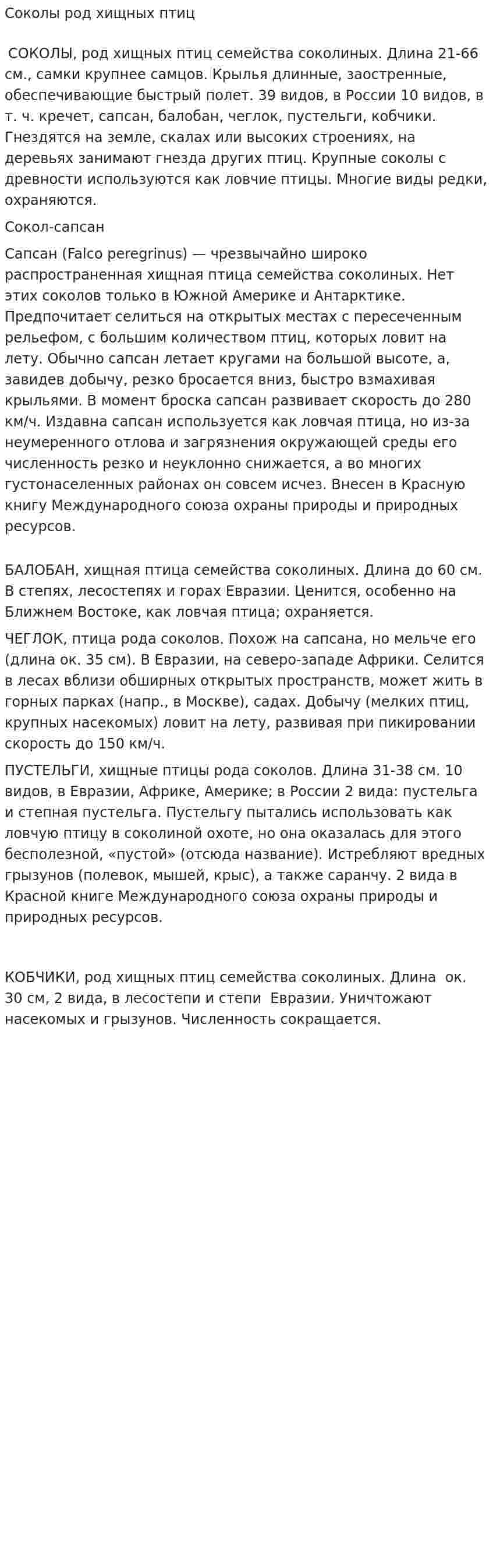 Соколы род хищных птиц