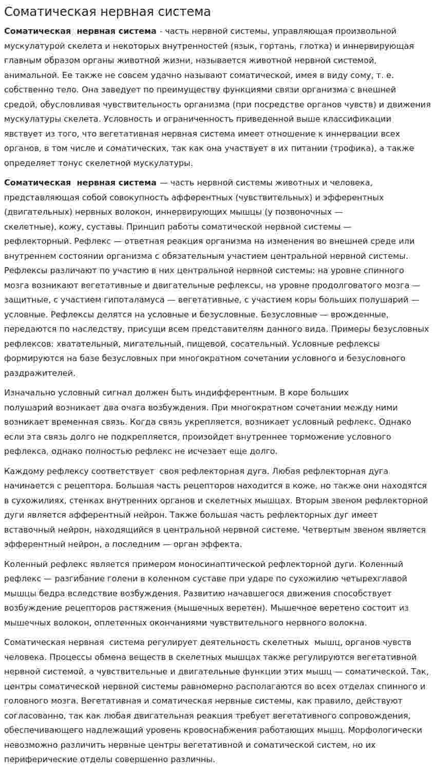 Соматическая нервная система