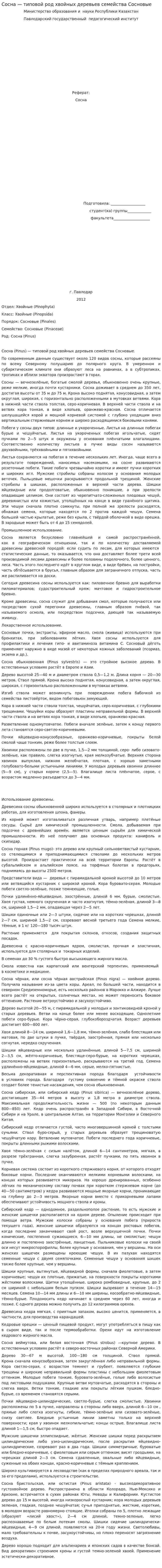 Сосна — типовой род хвойных деревьев семейства Сосновые
