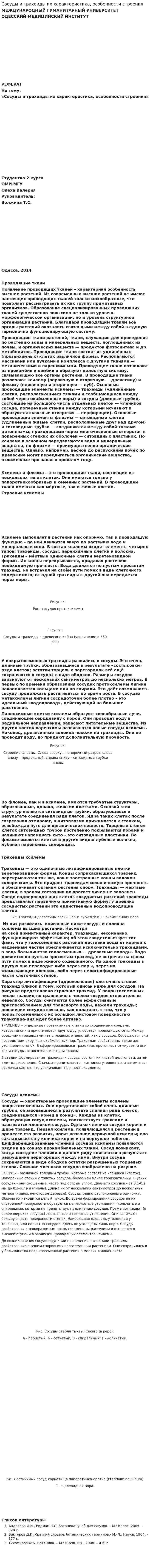 Сосуды и трахеиды их характеристика, особенности строения