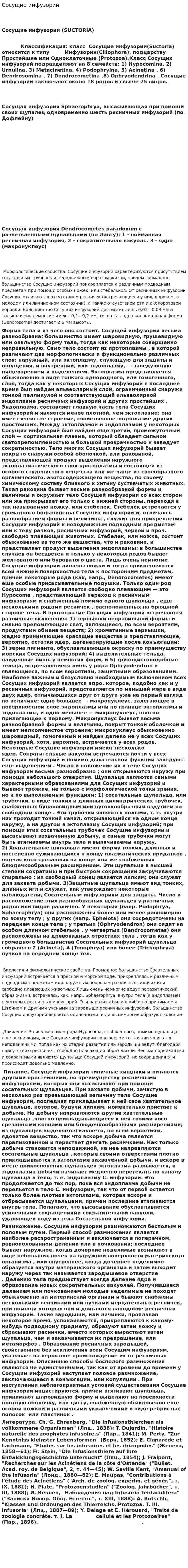 Сосущие инфузории