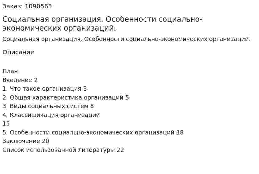 Социальная организация. Особенности социально-экономических организаций. (курсовая работа) 
