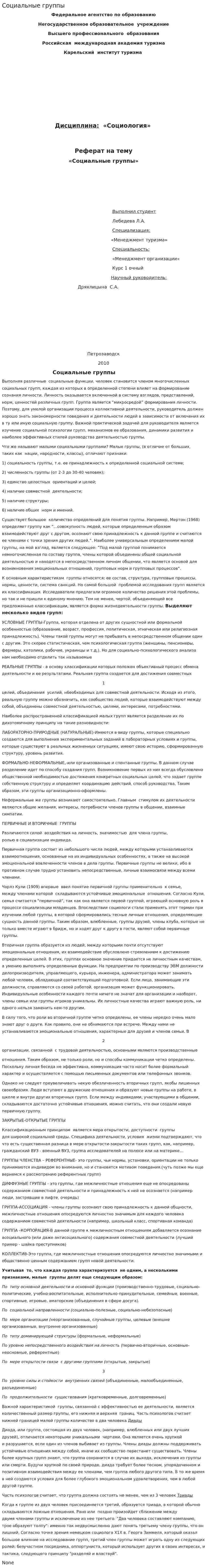 Социальные группы. 19