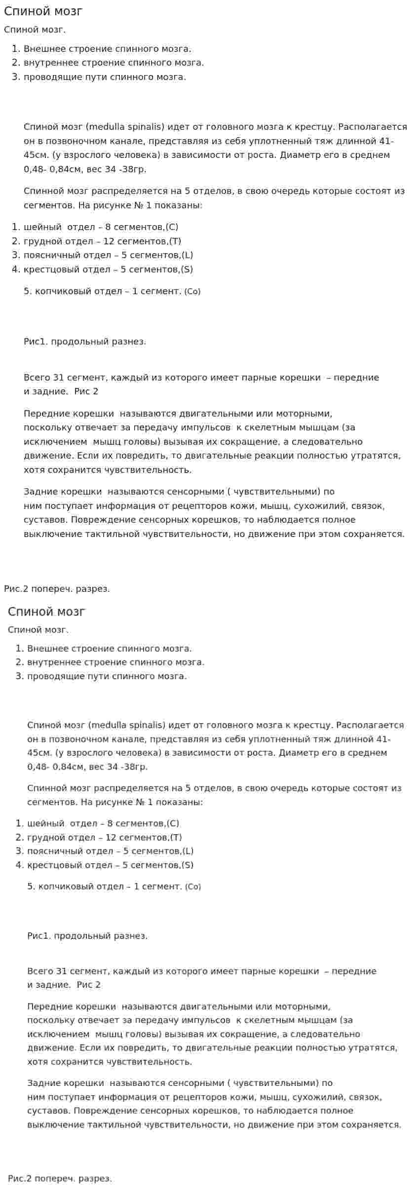 Спиной мозг. 2
