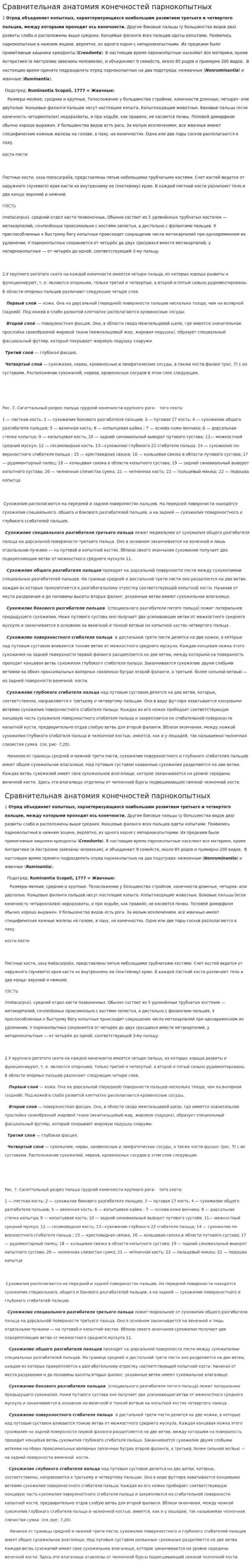 Сравнительная анатомия конечностей парнокопытных