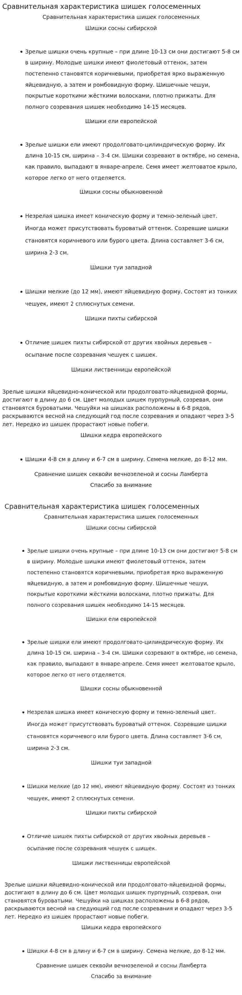 Сравнительная характеристика шишек голосеменных