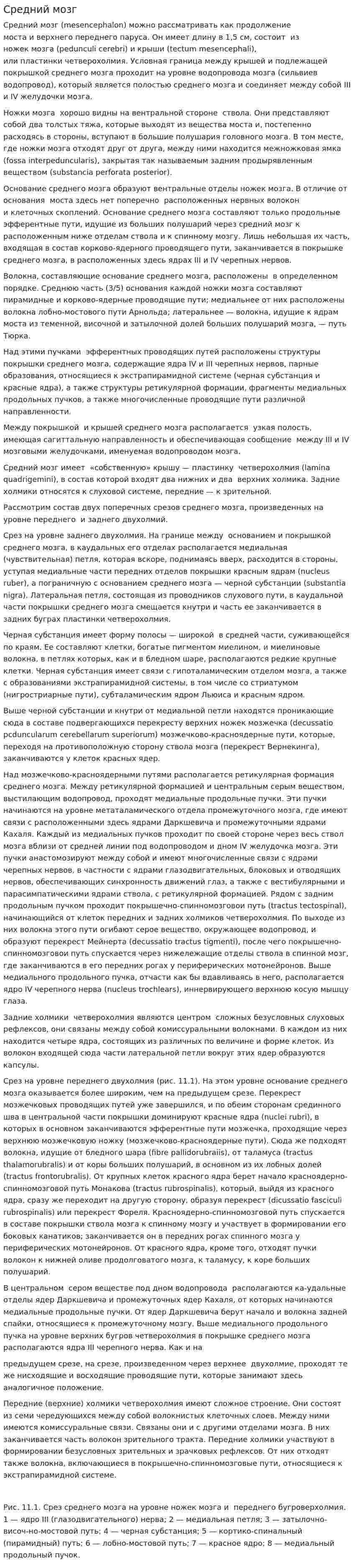 Средний мозг