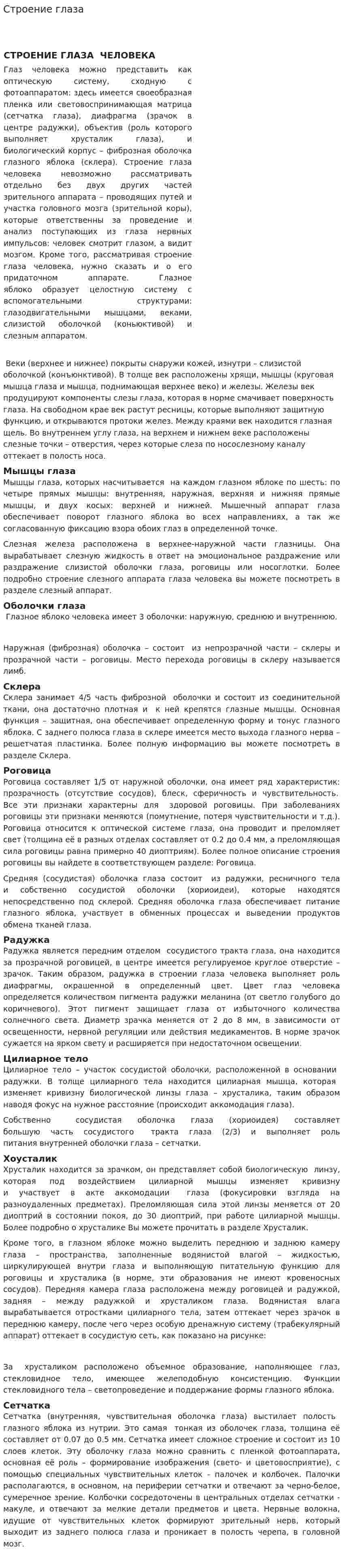 Строение глаза. 2