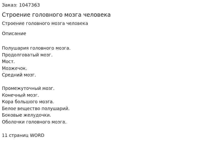 Строение головного мозга человека (реферат) 