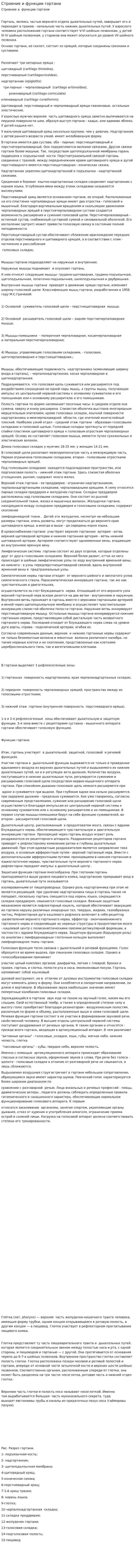 Строение и функции гортани
