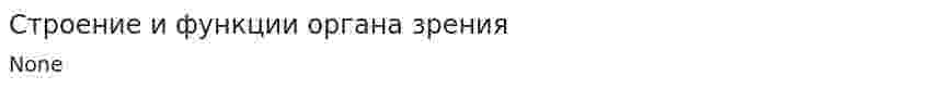 Строение и функции органа зрения