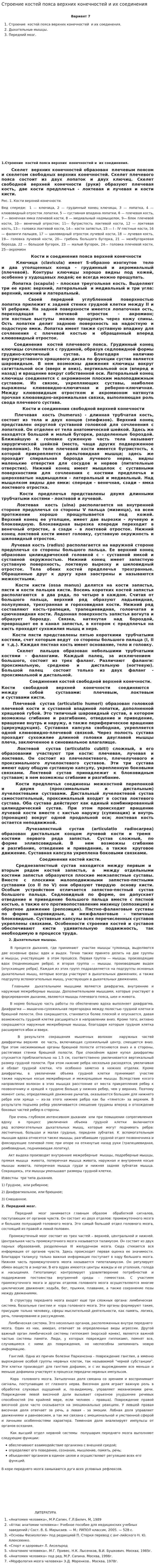 Строение костей пояса верхних конечностей и их соединения