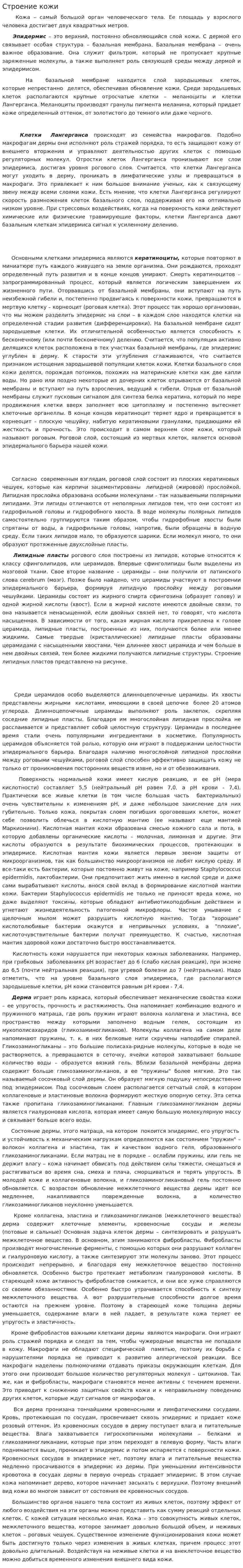 Строение кожи. 2