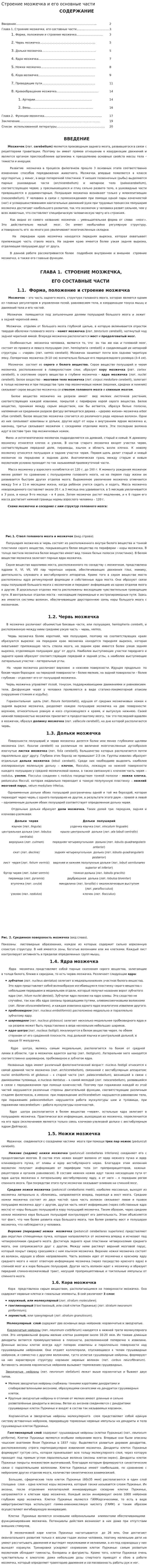 Строение мозжечка и его основные части