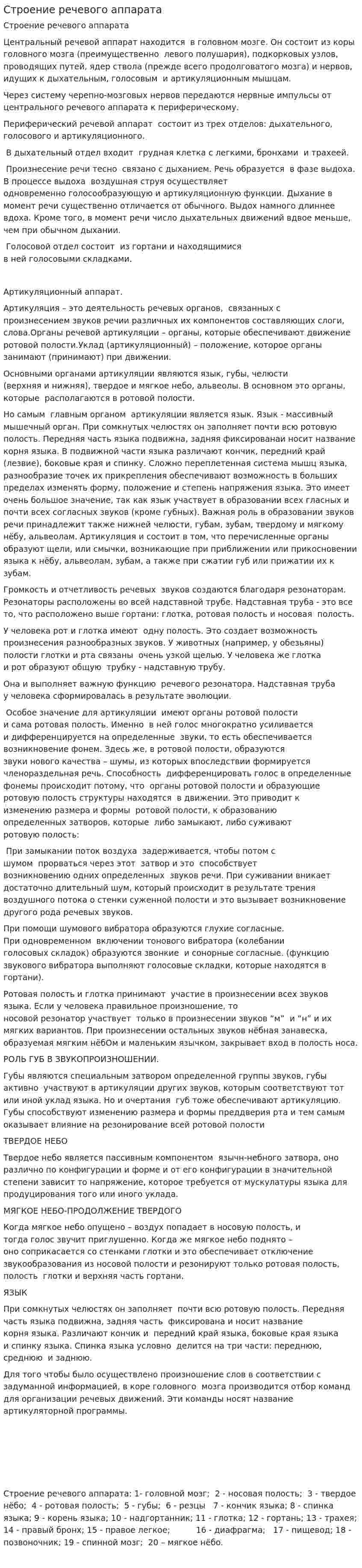 Строение речевого аппарата. 2