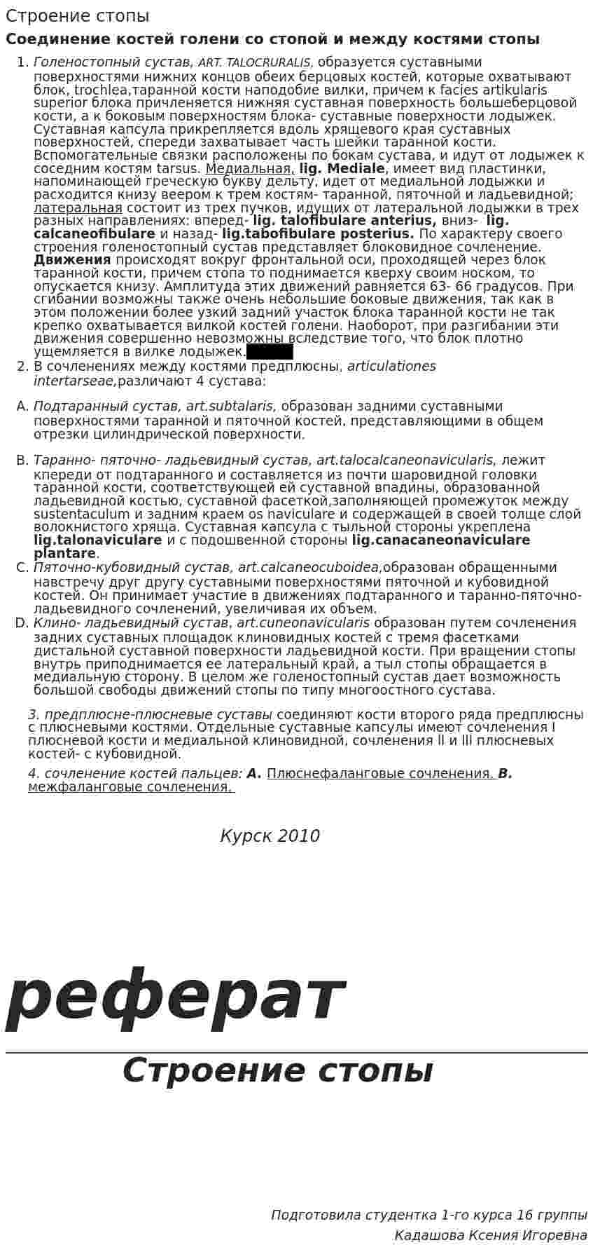 Строение стопы