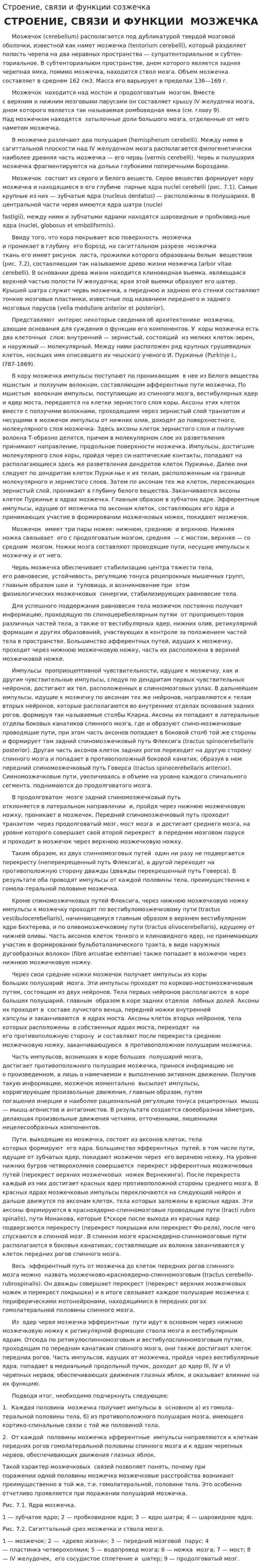 Строение, связи и функции созжечка