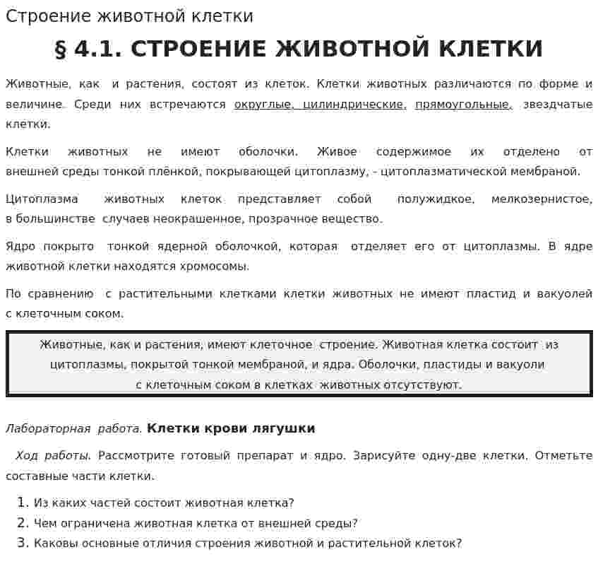 Строение животной клетки