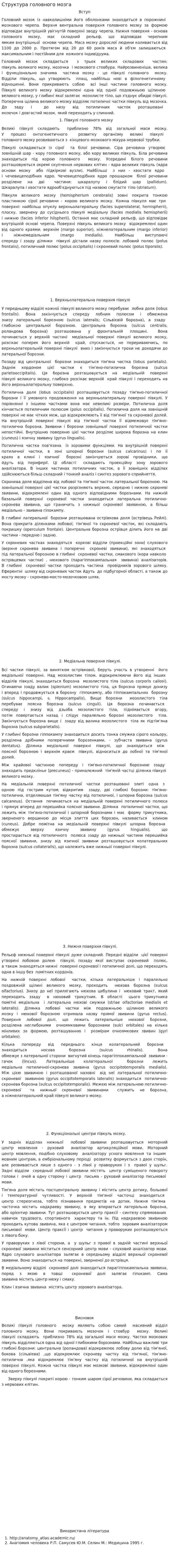 Структура головного мозга
