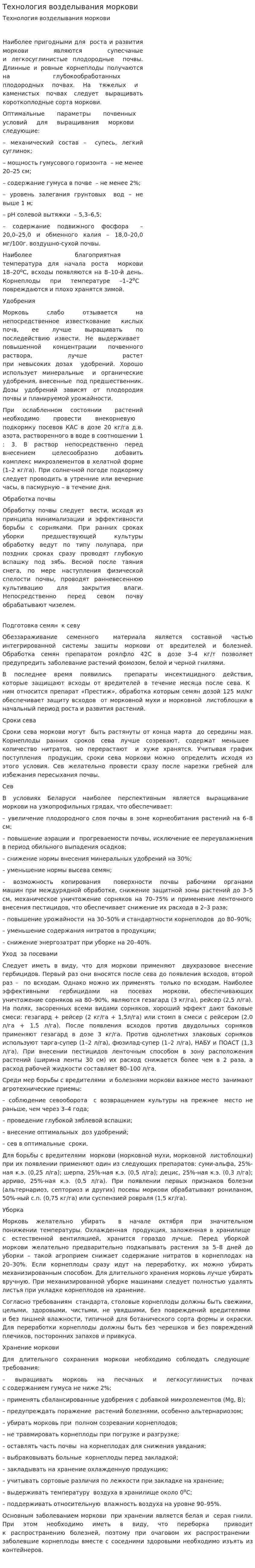 Технология возделывания моркови