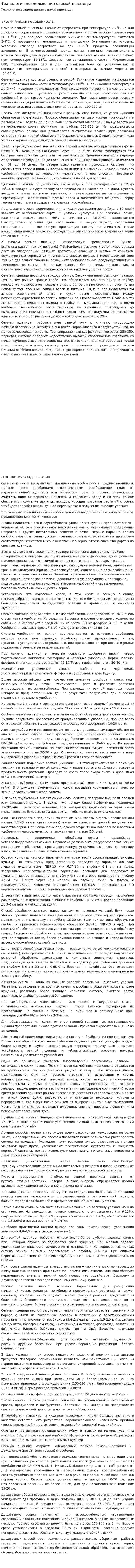 Технология возделывания озимой пшеницы