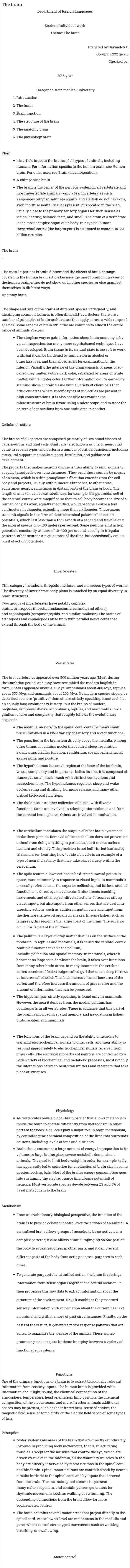 The brain