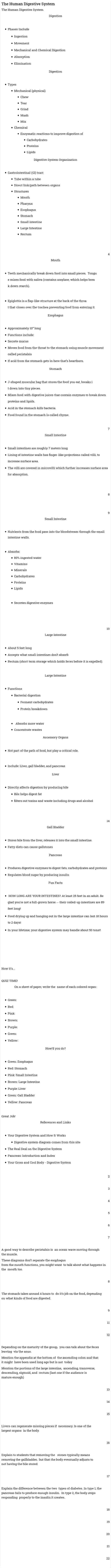 The Human Digestive System