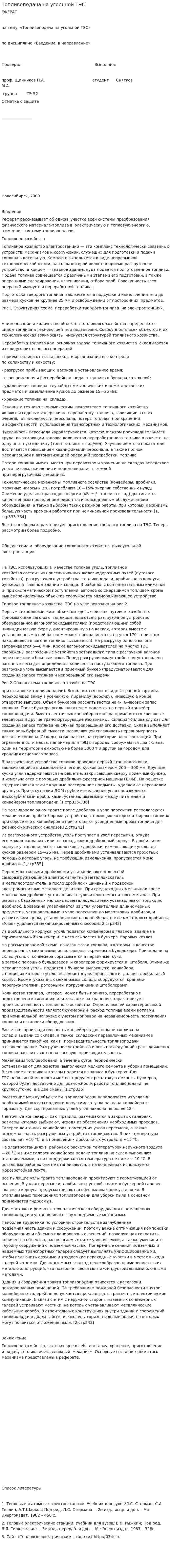 Топливоподача на угольной ТЭС