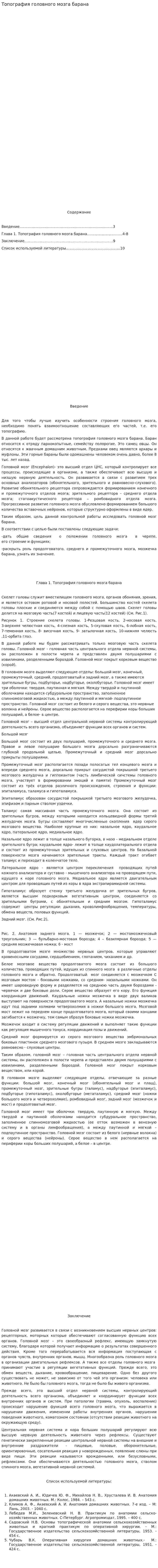 Топография головного мозга барана