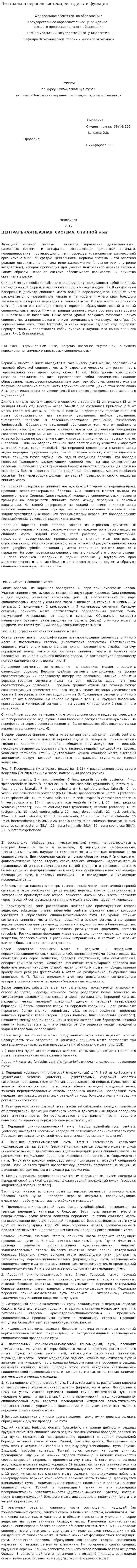Центральна нервная система,ее отделы и функции