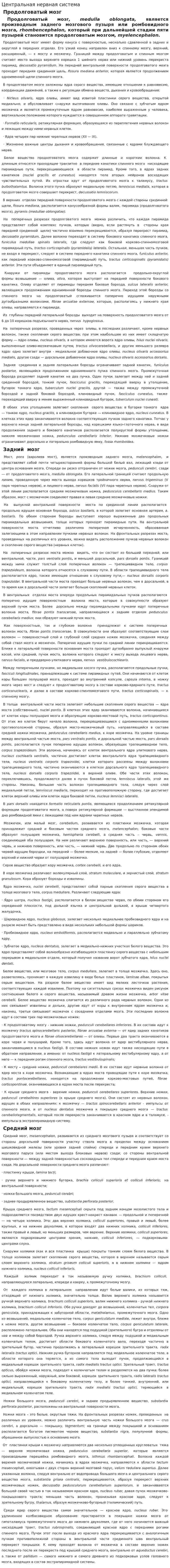 Центральная нервная система. 5