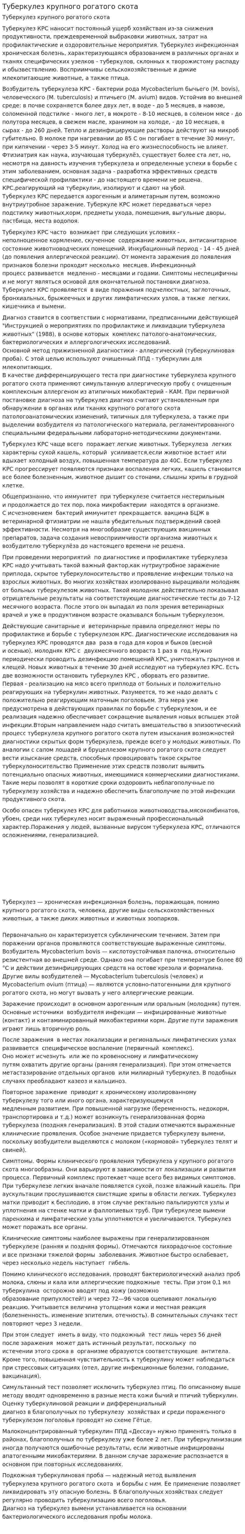 Туберкулез крупного рогатого скота