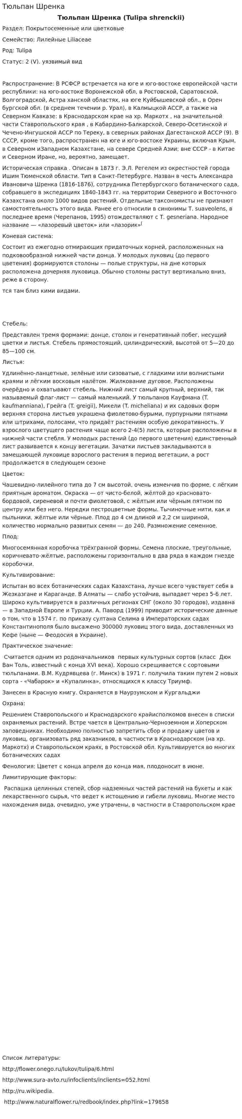 Тюльпан Шренка