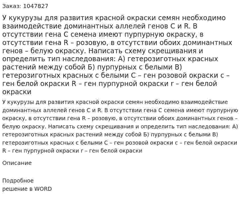 У кукурузы для развития красной окраски семян необходимо взаимодействие доминантных аллелей генов С и R. В отсутствии гена С семена имеют пурпурную окраску, в отсутствии гена R – розовую, в отсутствии обоих доминантных генов – белую окраску. Написать схему скрещивания и определить тип наследования: 	А) гетерозиготных красных растений между собой 	Б) пурпурных с белыми 	В) гетерозиготных красных с белыми 	С – ген розовой окраски			с – ген белой окраски 	R – ген пурпурной окраски			r – ген белой окраски 
