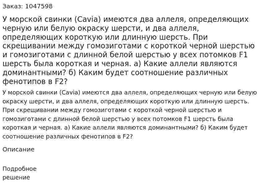 У морской свинки (Cavia) имеются два аллеля, определяющих черную или белую окраску шерсти, и два аллеля, определяющих короткую или длинную шерсть. При скрещивании между гомозиготами с короткой черной шерстью и гомозиготами с длинной белой шерстью у всех потомков F1 шерсть была короткая и черная. 	а) Какие аллели являются доминантными? 	б) Каким будет соотношение различных фенотипов в F2? 