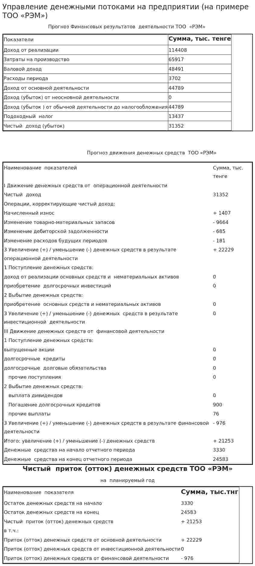 Управление денежными потоками на предприятии (на примере ТОО «РЭМ»)