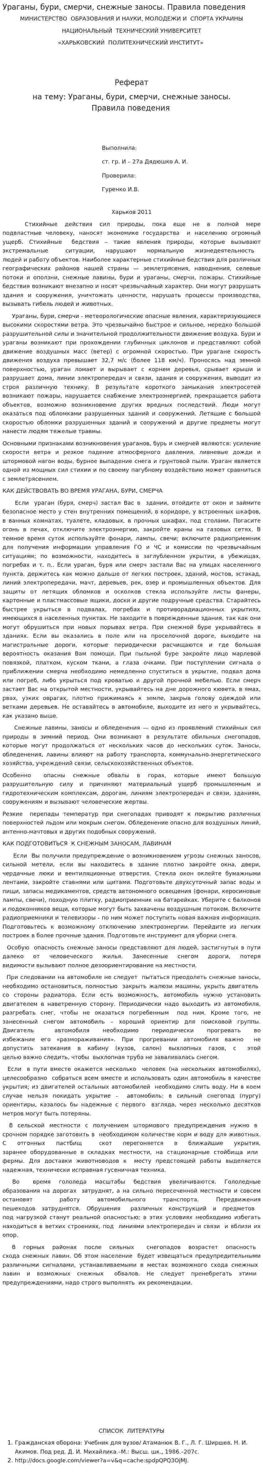 Ураганы, бури, смерчи, снежные заносы. Правила поведения