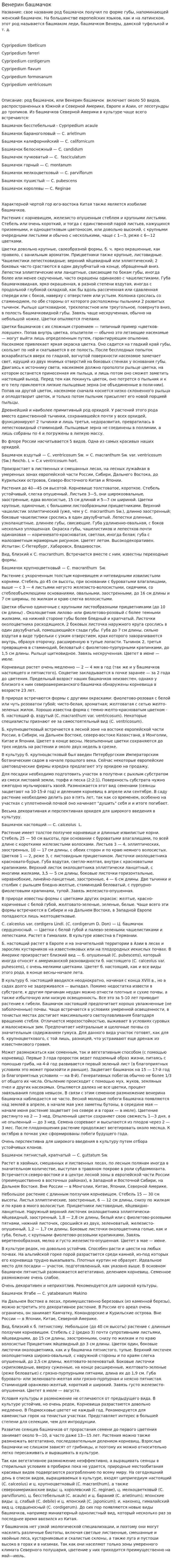 Венерин башмачок