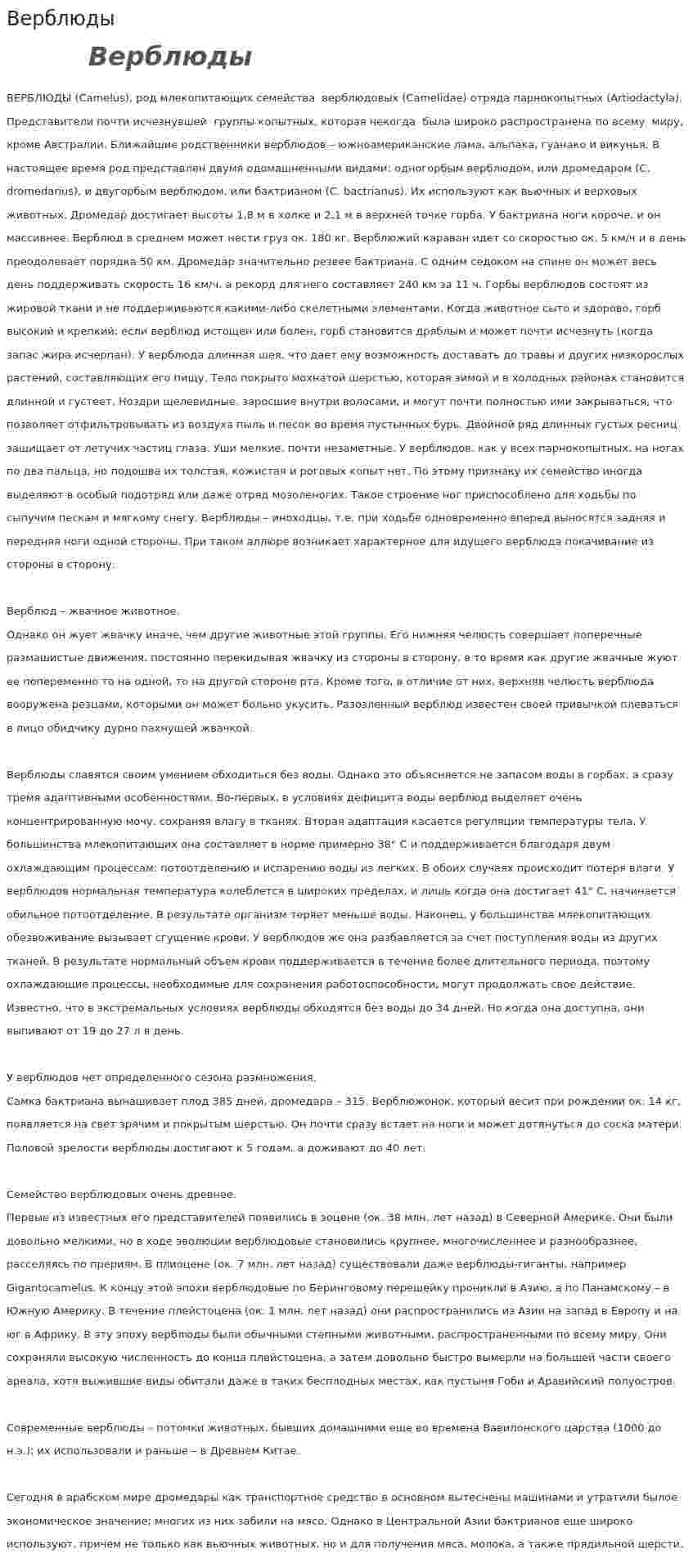 Верблюды