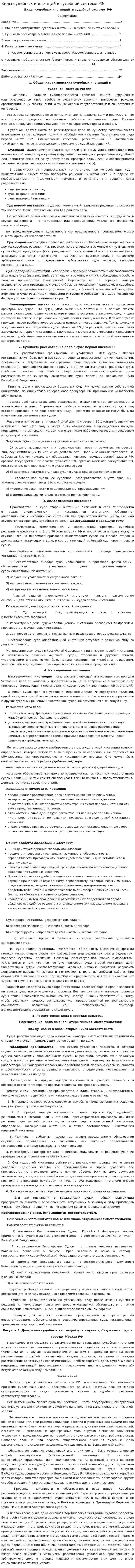 Виды судебных инстанций в судебной системе РФ