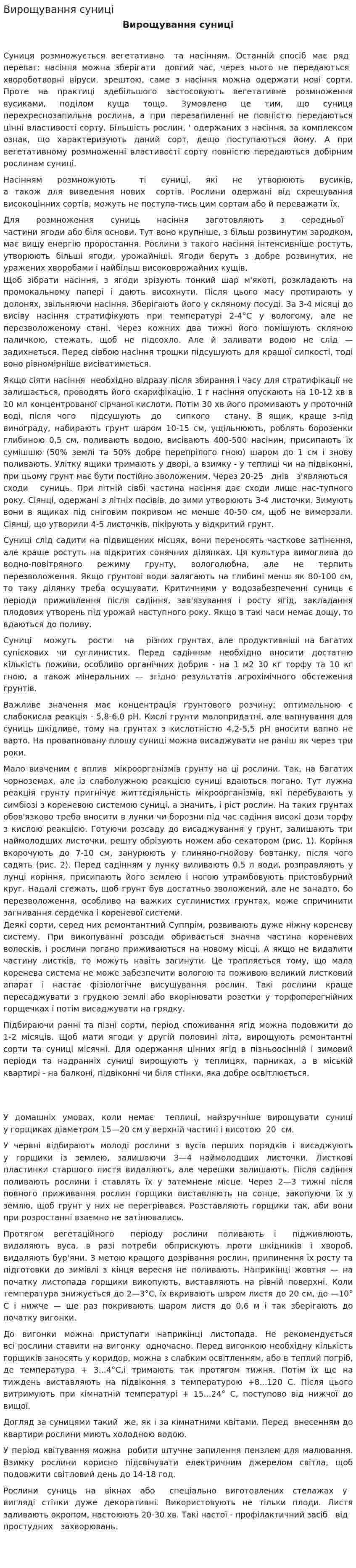 Вирощування суниці