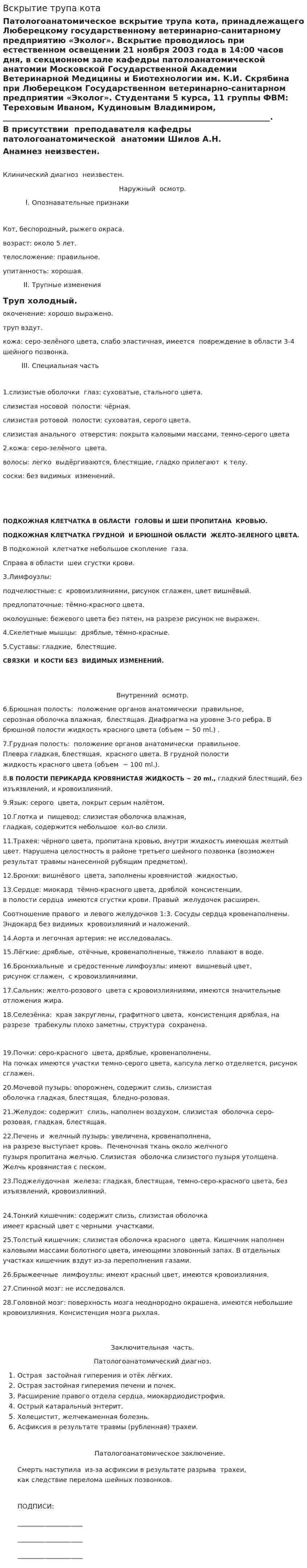 Вскрытие трупа кота