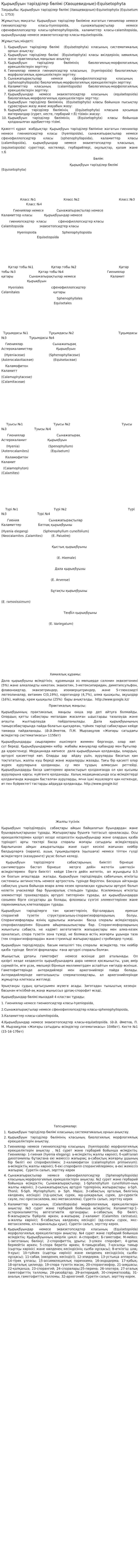 Қырықбуын тәрізділер бөлімі (Хвощевидные)-Equisetophyta